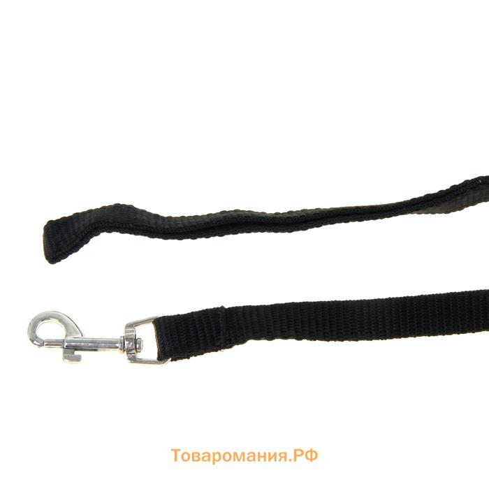 Комплект "Базис", поводок 120 х 1,5 см, шлейка 32-46 х 1,5 см, чёрный