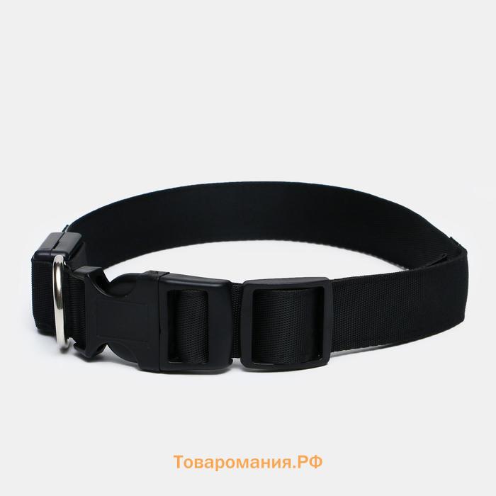 Ошейник с подсветкой размер L, ОШ 45-52 х 2,5 см, 3 режима свечения чёрный