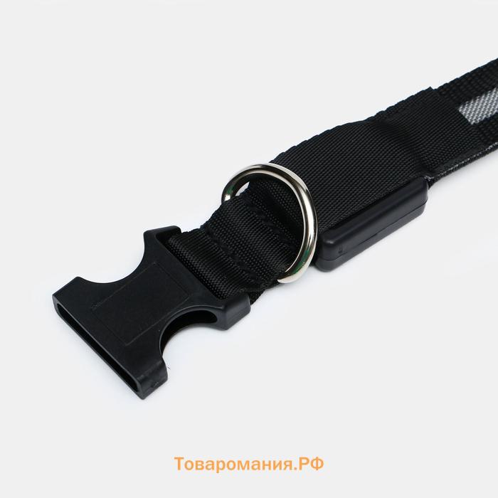 Ошейник с подсветкой размер L, ОШ 45-52 х 2,5 см, 3 режима свечения чёрный