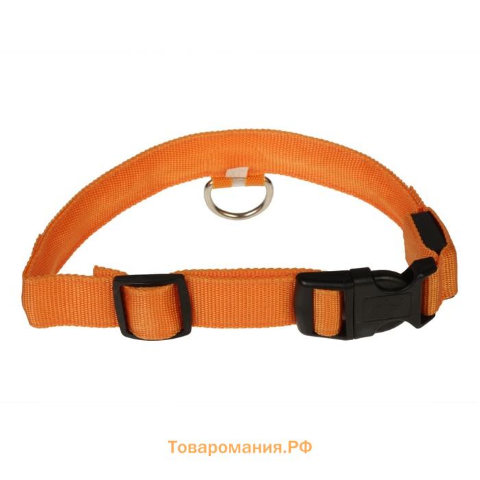 Ошейник с подсветкой размер XL, ОШ 52-60 х 2,5 см, 3 режима свечения оранжевый