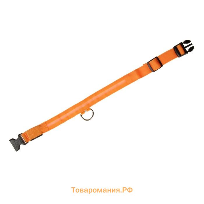 Ошейник с подсветкой размер XL, ОШ 52-60 х 2,5 см, 3 режима свечения оранжевый