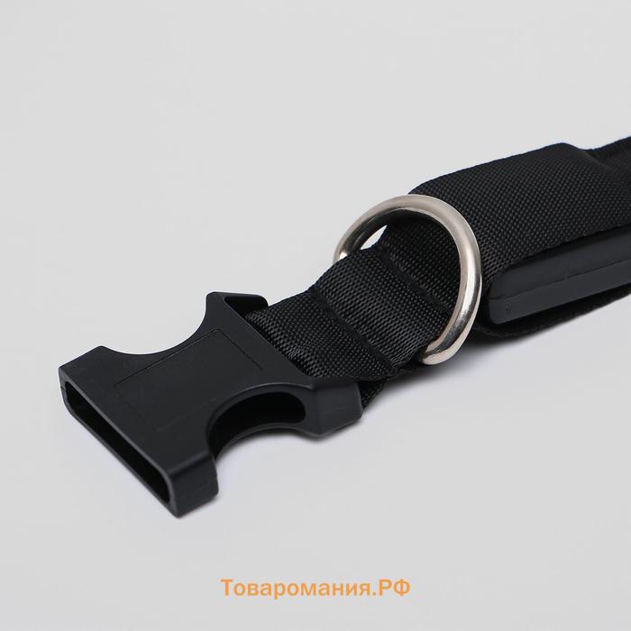Ошейник с подсветкой размер XL, ОШ 52-60 х 2,5 см, 3 режима свечения чёрный