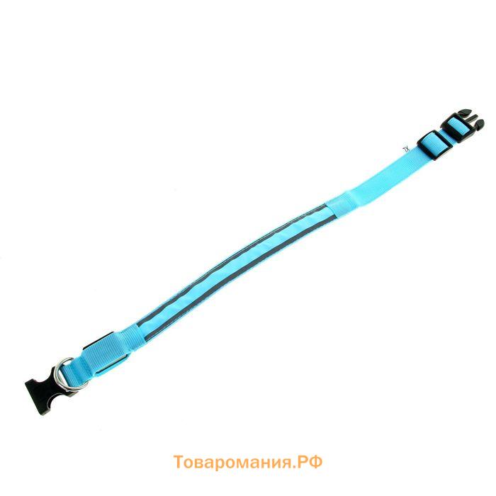 Ошейник с подсветкой Двойная полоса размер XL, ОШ 52-60 х 2,5 см, 3 режима свечения голубой