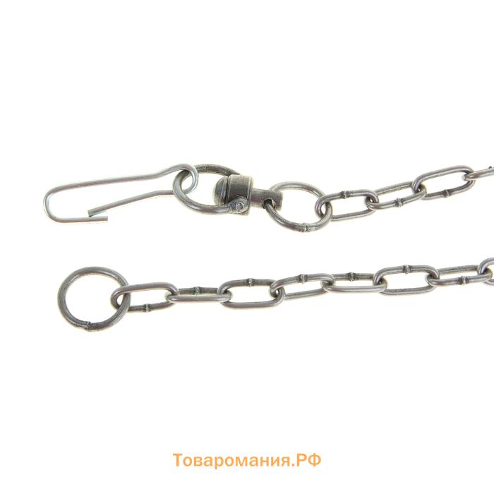 Цепь для привязи собак, 3 м, калибр 3 х 21 мм, черная