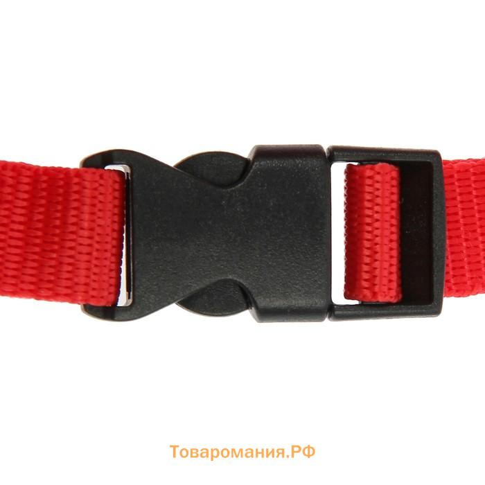 Намордник текстильный, размер 2 (длина по носу 4 см, обхват морды 20 см), микс цветов