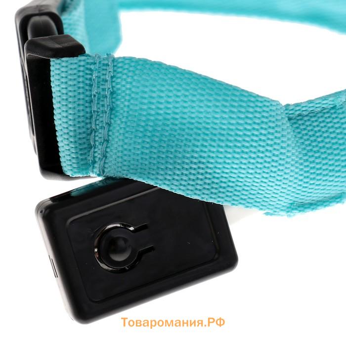 Ошейник с подсветкой, зарядка от USB, размер L, ОШ 41-52 см, 3 режима, голубой