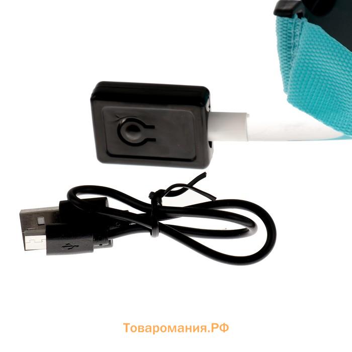Ошейник с подсветкой, зарядка от USB, размер L, ОШ 41-52 см, 3 режима, голубой