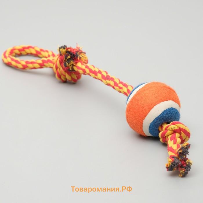 Игрушка тренировочная канатная с мячом, до 125 г, до 45 см, микс цветов