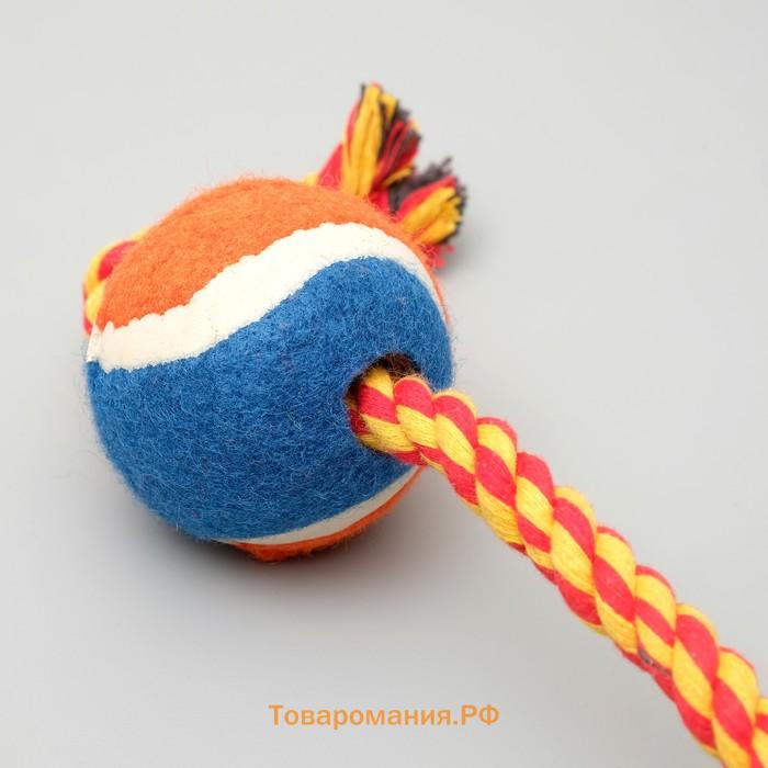 Игрушка тренировочная канатная с мячом, до 125 г, до 45 см, микс цветов