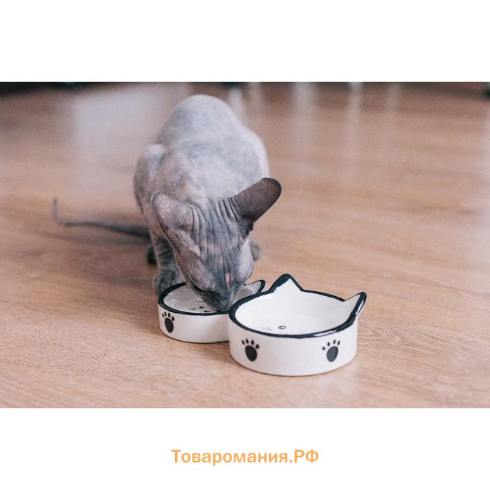 Миска керамическая "Кошачье семейство" 40/60 мл  двойная 19 х 10,5 х 3,5 см, бело-чёрная