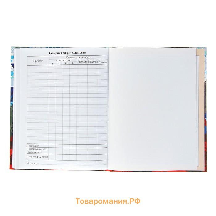 Дневник универсальный для 1-11 классов, "Россия геометрия", твердая обложка 7БЦ, глянцевая ламинация, 40 листов