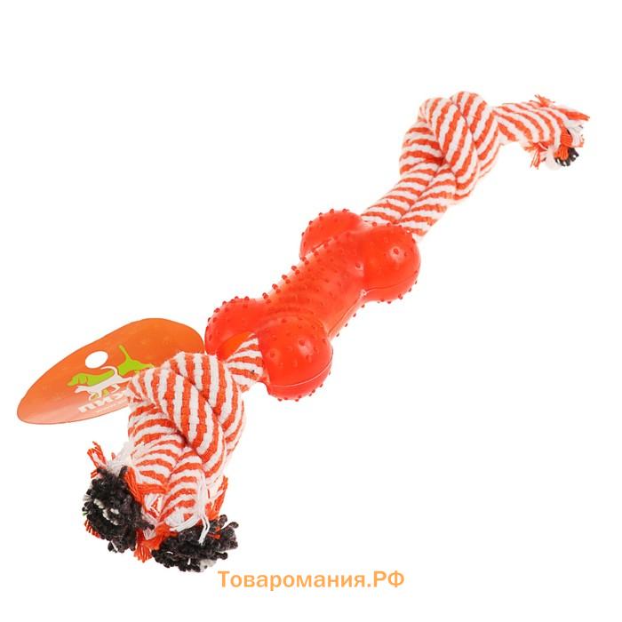Игрушка канатная с косточкой, до 90 г, до 26 см, микс цветов