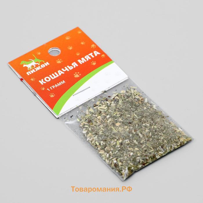 Кошачья мята "Пижон", 1 г