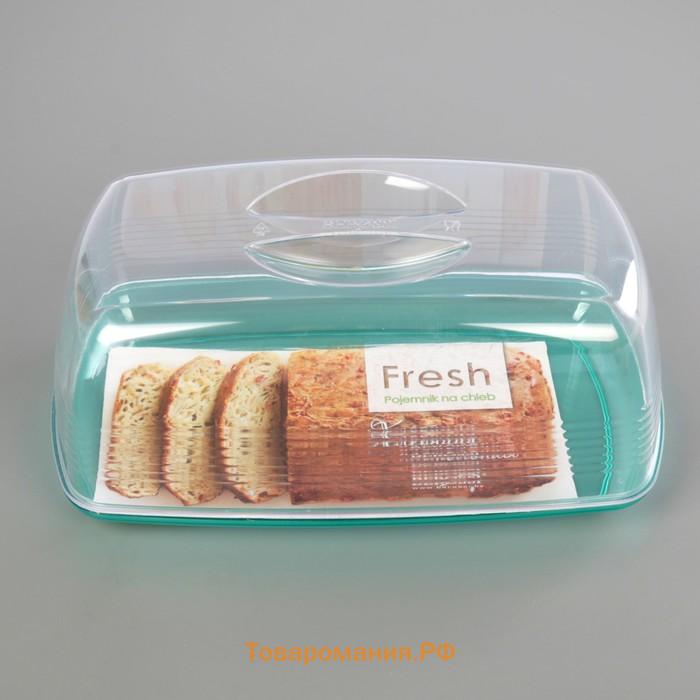 Хлебница «Fresh», 23,5×14×10 см, мятный-полупрозрачный