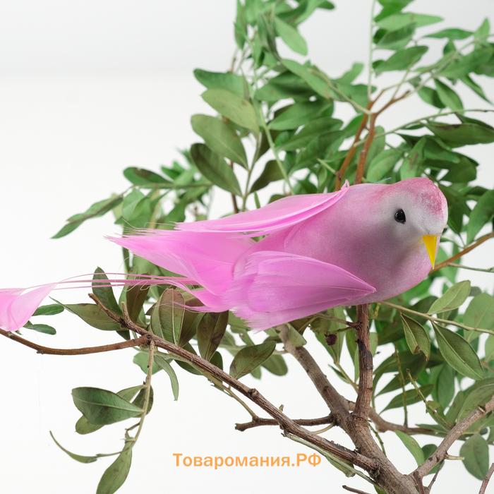 Птичка для декора и флористики, на проволоке, МИКС, пластиковая, 1 шт., 8×8 см