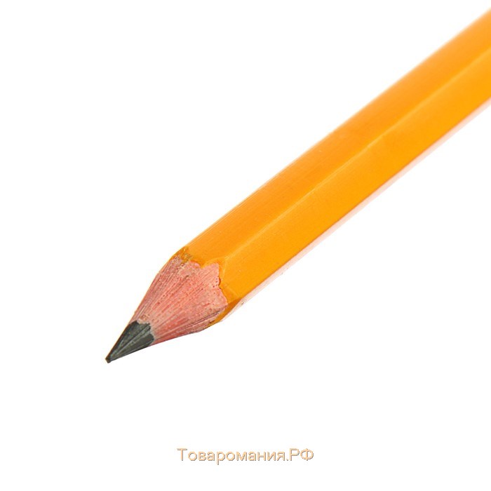 Карандаш чернографитный НB, Calligrata, с ластиком, пластиковый, оранжевый