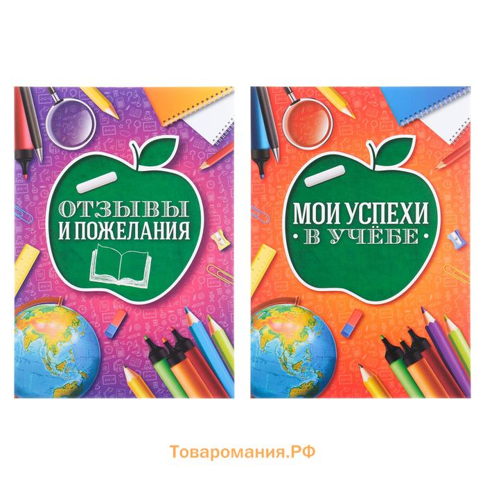 Папка школьная на кольцах «Портфолио школьника», 6 листов-разделителей, 24,5 х 32 см.