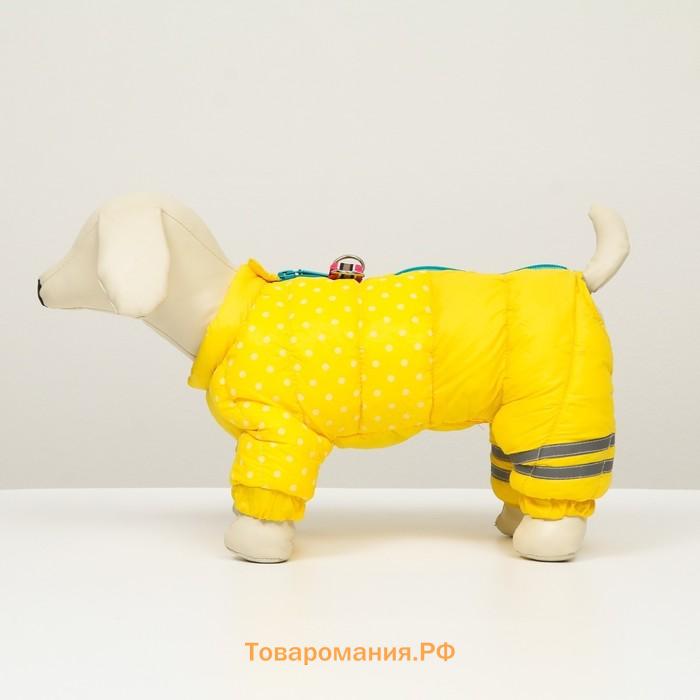 Комбинезон для собак  "Горошек", размер 10 (ДС 25, ОГ 34, ОШ 24 см), жёлтый