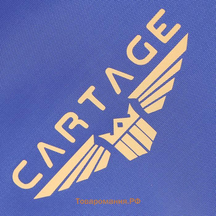 Термосумка Cartage Т-08, синяя, 10 л, 26×19×19 см