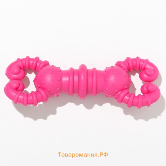 Игрушка для собак резиновая "Гантель-крабы", TPR, 11.5 х 2 см, розовая