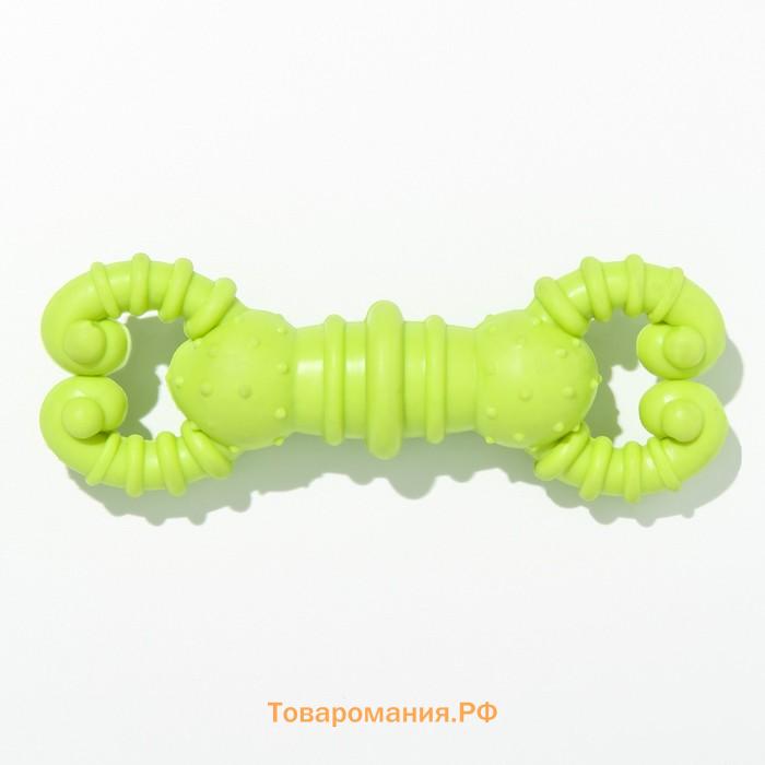 Игрушка для собак резиновая "Гантель-крабы", TPR, 11.5 х 2 см, жёлтая
