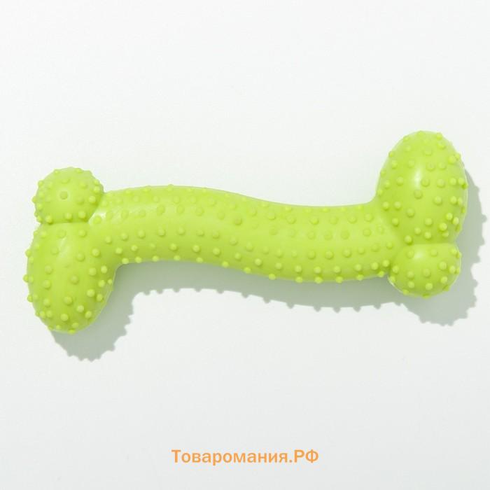 Игрушка жевательная "Любимое лакомство", TPR, 11 х 4 см, салатовая