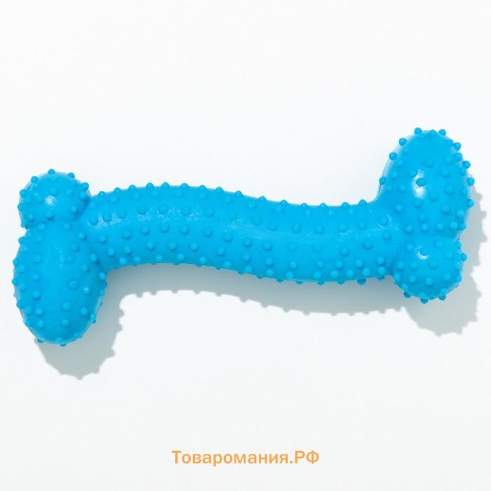 Игрушка жевательная "Любимое лакомство", TPR, 11 х 4 см, голубая