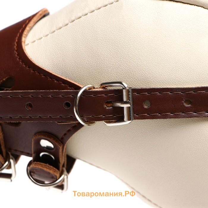 Намордник из прессованной кожи регулируемый, №2, ДН 5 см, ОМ 15-22 см, коричневый