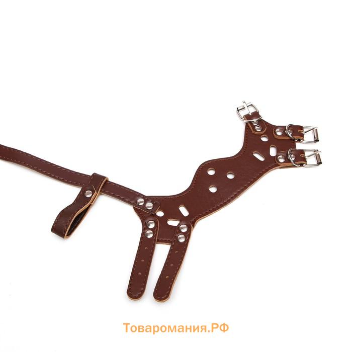Намордник из прессованной кожи регулируемый, №2, ДН 5 см, ОМ 15-22 см, коричневый