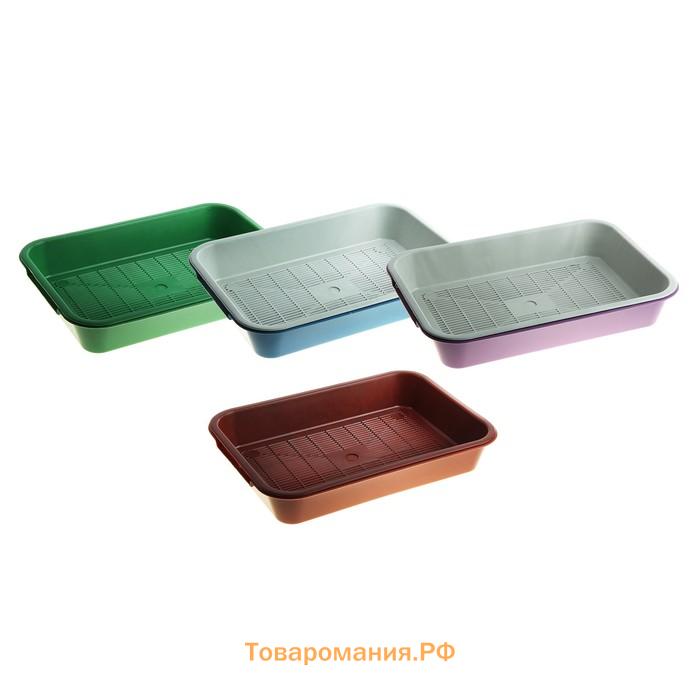Туалет средний с сеткой 36 х 26 х 6,5 см, синий/бежевый
