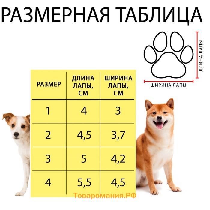 Ботинки Элеганс, набор 4 шт, размер 3 (подошва 5 х 4,2 см) коричневые