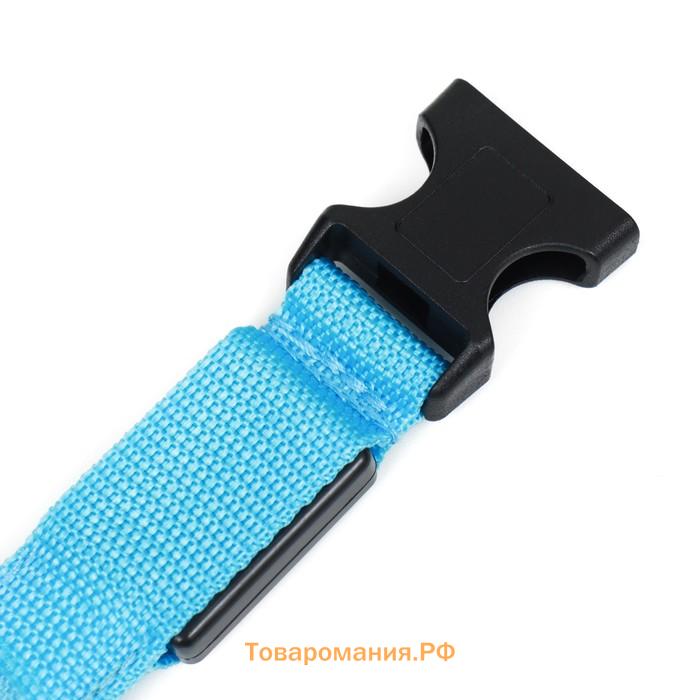 Ошейник с подсветкой, зарядка от USB, размер S, ОШ 34-41 см, 3 режима, голубой
