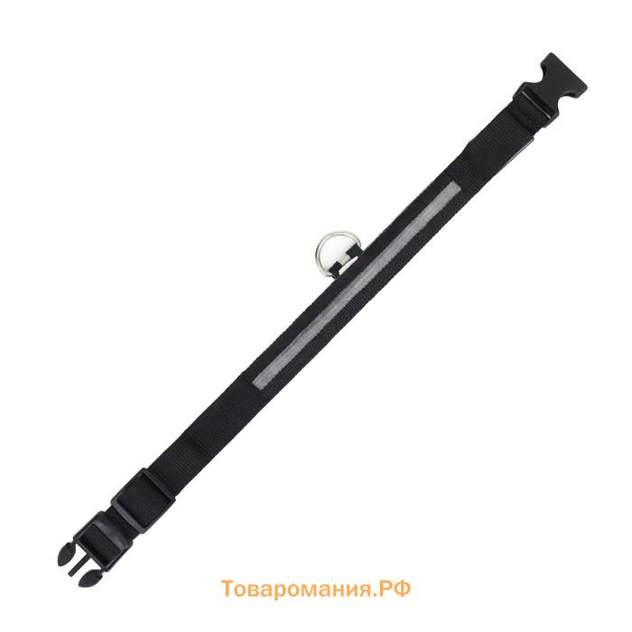 Ошейник с подсветкой, зарядка от USB, размер M, ОШ 37-46 см, 3 режима, черный