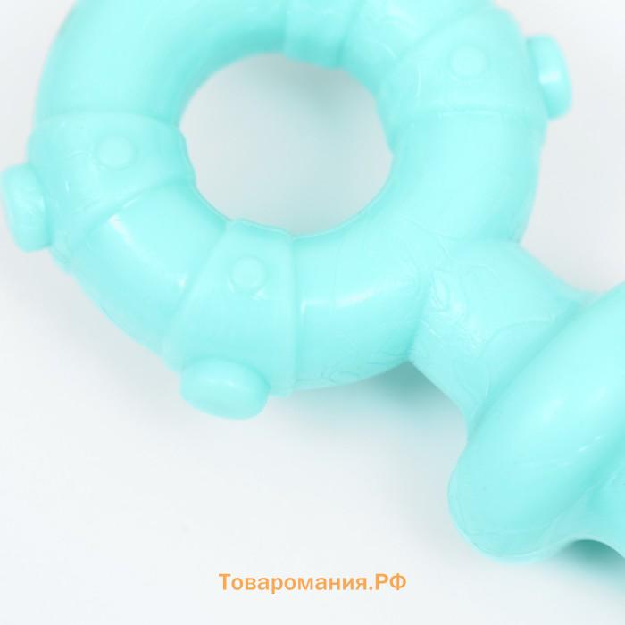 Игрушка для собак Пижон Premium "Якорь", 10 х 1,3 см, мятная