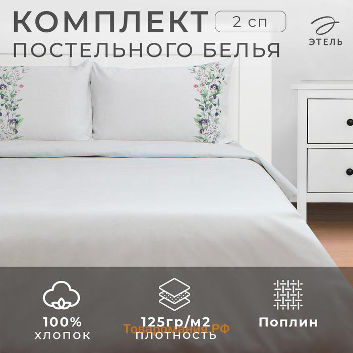 Постельное бельё  2 сп Flower strip(вид 2) 175х215 см, 200х220 см, 50х70 см -2 шт, поплин