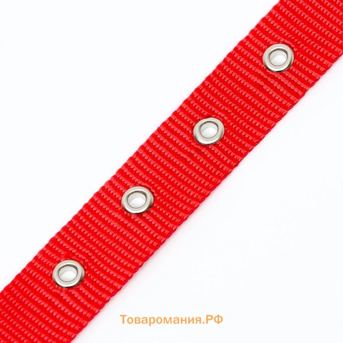 Ошейник металлический, плетёный, с вставкой из нейлона, 60 см × 3 мм