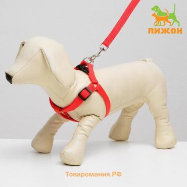 Комплект "Базис", поводок 120 х 1,5 см, шлейка 32-46 х 1,5 см, красный