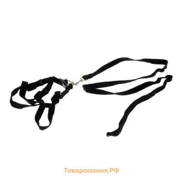 Комплект "Базис", поводок 120 х 1,5 см, шлейка 32-46 х 1,5 см, чёрный