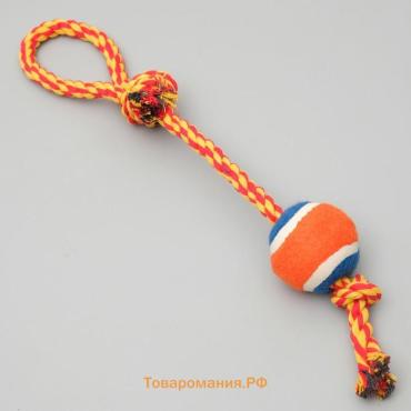 Игрушка тренировочная канатная с мячом, до 125 г, до 45 см, микс цветов