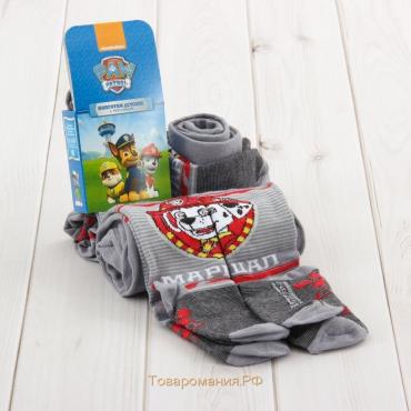 Колготки детские «Маршал» PAW PATROL, рост 98-104 см