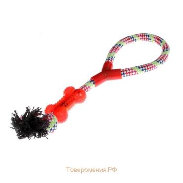 Игрушка тренировочная канатная с косточкой, до 120 г, до 40 см, микс цветов
