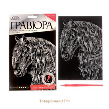 Гравюра «Лошадь» с металлическим эффектом серебра А5