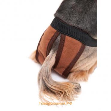 Трусы для собак многоразовые, XS (обхват талии 21-40 см, глубина 23 см), коричневые