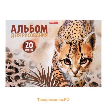 Альбом для рисования А4, 20 листов, блок 120 г/м², на клею, Erich Krause "Wild Cat", 100% белизна, твердая подложка