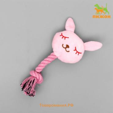 Игрушка мягкая для собак "Зайка с канатом", с пищалкой, 18 см, розовая