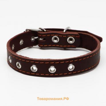 Ошейник кожаный однослойный, безразмерный, 56 х 2.5 см, ОШ 17-44 см, коричневый