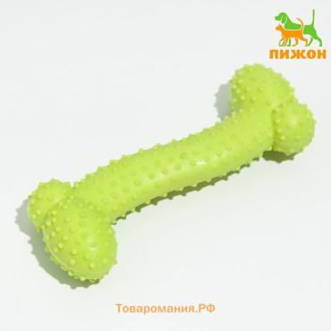 Игрушка жевательная "Любимое лакомство", TPR, 11 х 4 см, салатовая