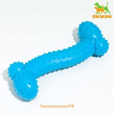Игрушка жевательная "Любимое лакомство", TPR, 11 х 4 см, голубая