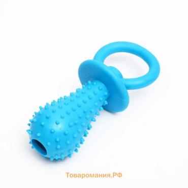 Игрушка жевательная "Соска", TPR, 10 х 3 см, голубая