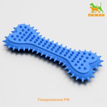 Игрушка жевательная литая "Кость для массажа" большая, 15 х 6 х 2,5 см, синяя